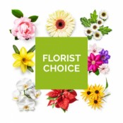 D2F Florist's Choice in Water